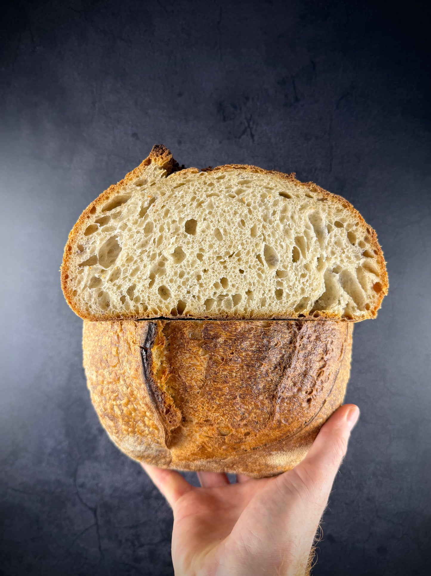 Münchner Brot-Tasting